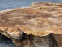 20250801_181914.webp